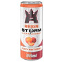 Reign Storm - Peach Nectarine (355ml)