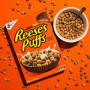 Reese's - Puffs (326g)